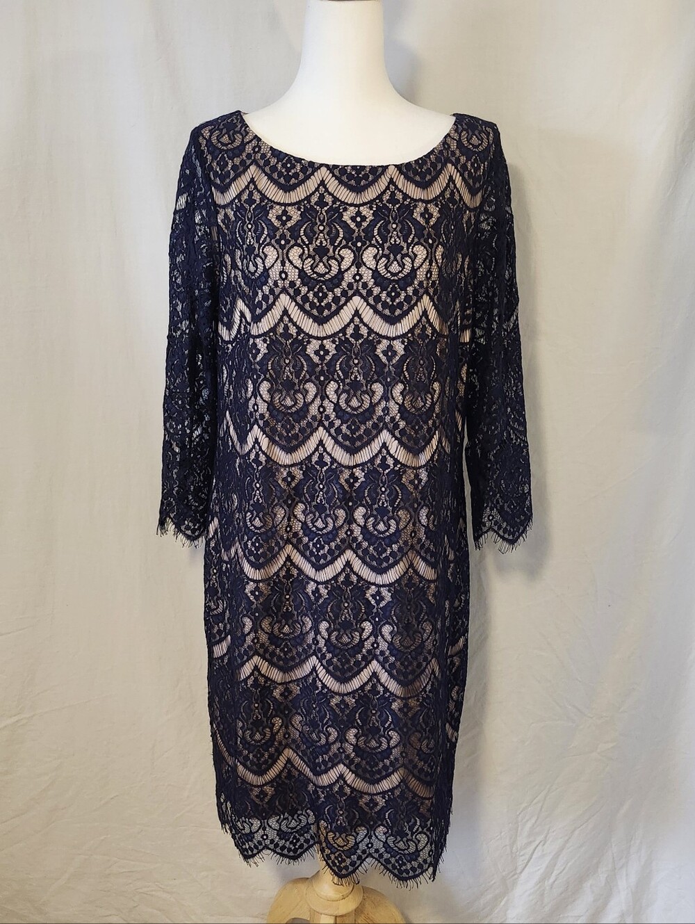 Melanie Lyne Lined, Lace Overlay, Formal Dress In Navy & Cream